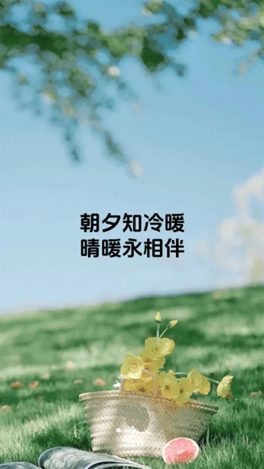 ��ů��鰲׿���ֻ���v1.0.6 ��Ѱ��ͼ3